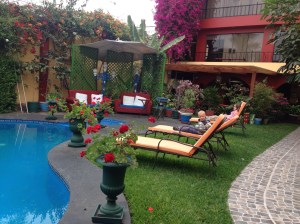 The Peru Star, a wonderful little hotel with delicious food.